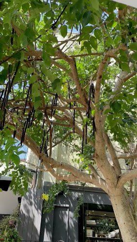 Comentarii opinii despre Yada Yada ידה ידה