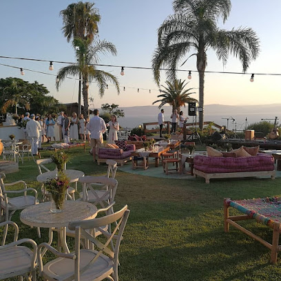 עומר טל - מטבח שף טבעוני