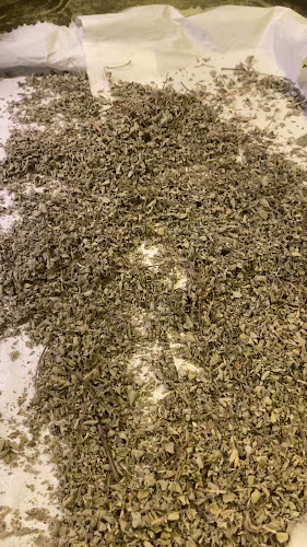 פיצה בוטיק Boutique Pizza אלנבי 44 - תל אביב-יפו