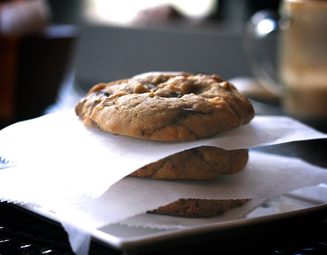 Comentarii opinii despre CafeXoho