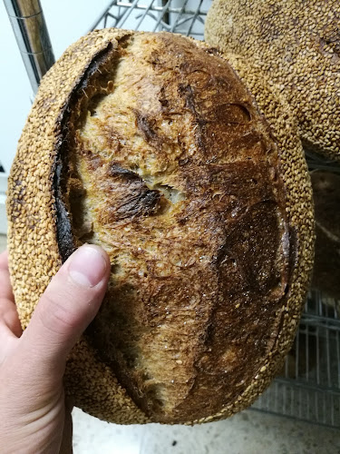 Comentarii opinii despre ברדא