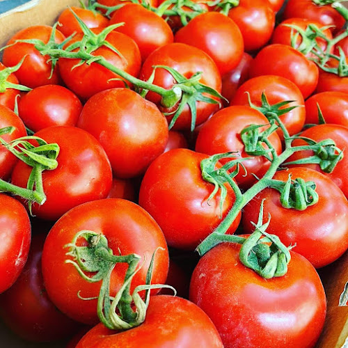 אדלה - יש טעם לאיכות - הסעדה