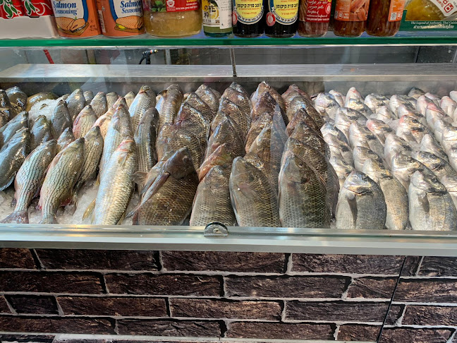 הגדוד העברי 56, ראשון לציון