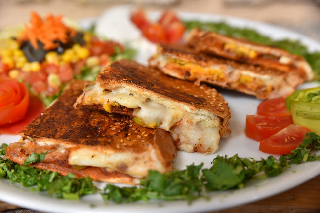 הביל"ויים 9, גדרה