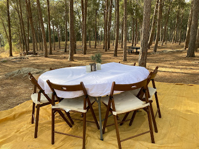 המנגליסטים- קייטרינג בשרי