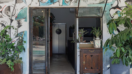 אליפלט | ELIFELET