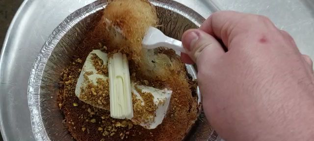 Opinii despre אוטיליה מלכת הכנאפה- הפנינה של איסטנבול în תל אביב-יפו - הסעדה