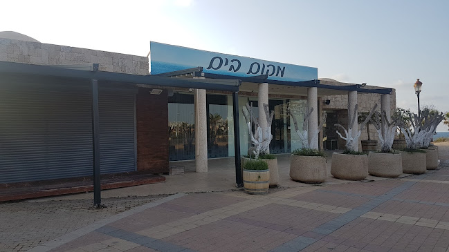 זיארה - הסעדה