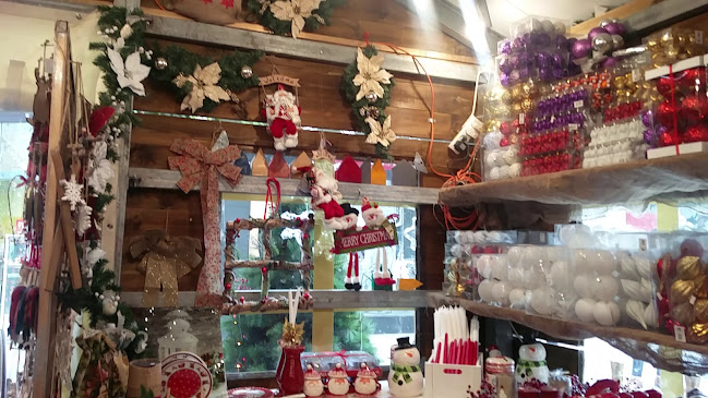 מקדונלד'ס - ביג פאשן, נצרת - הסעדה