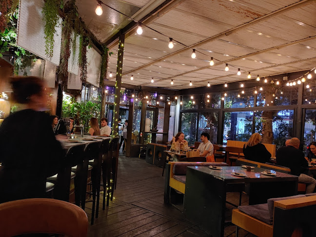 Comentarii opinii despre Kitto Katto