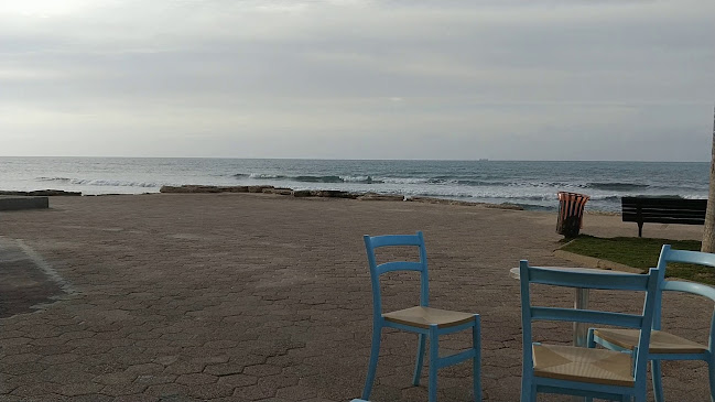 Opinii despre מסעדג în חיפה - הסעדה