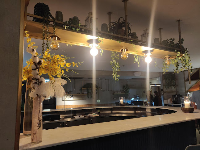 רופטופ בר - רעננה