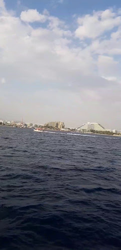 פלמינגו - הסעדה