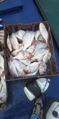 Comentarii opinii despre סעדה דגים בע״מ