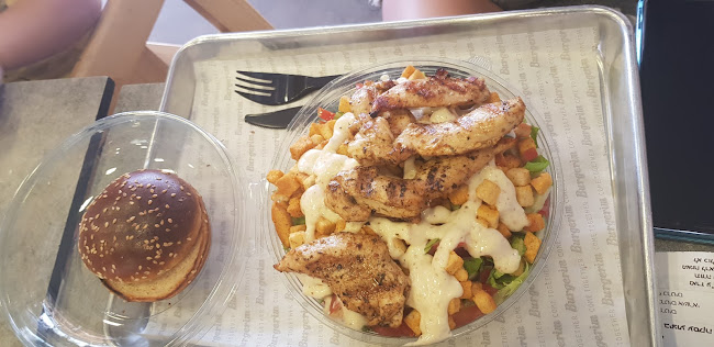 שדרות התמרים 11, אילת