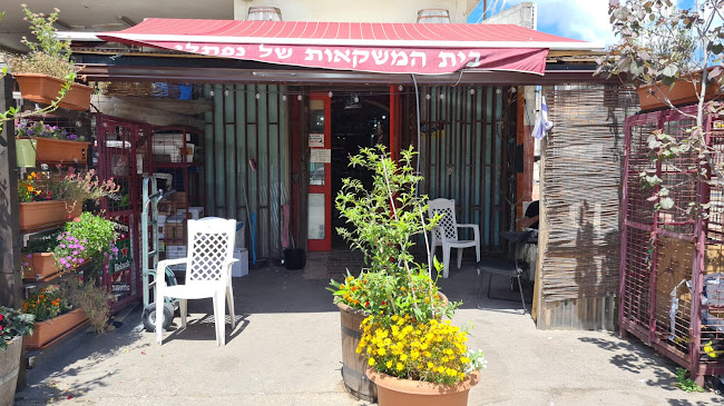 בית המשקאות של נפתלי - הסעדה