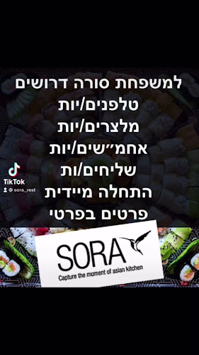 מסעדה אסייתית - סורה סושי לאונג'✔️אוכל אסייתי✔️סושי