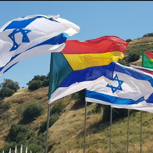 כמאל ג'ונבלאט, שפרעם