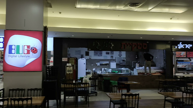 סטקיית ג'ינג'י