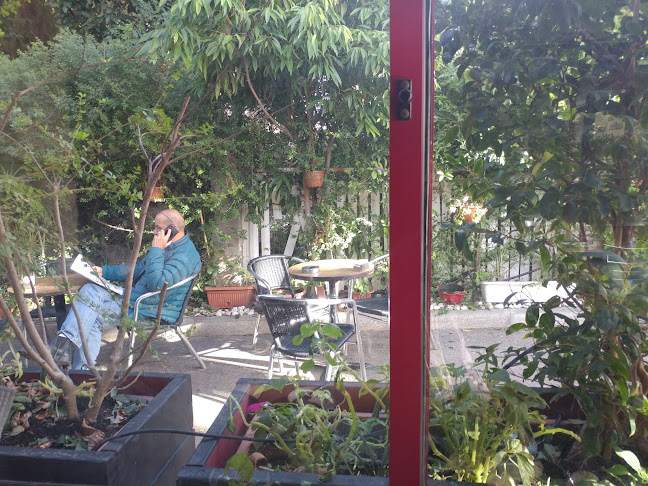 Comentarii opinii despre מנדרין צפרירים