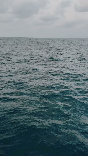 ביץ׳ קלאב חיפה - Beach Club Haifa - הסעדה