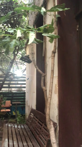 Comentarii opinii despre אדמונד קפה