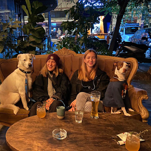 Hamashbir - הסעדה