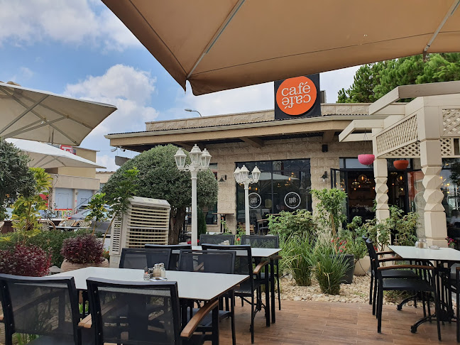 קפה קפה סולינה - עפולה