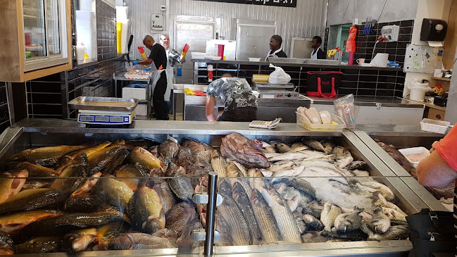 שוק הדגים - חנות
