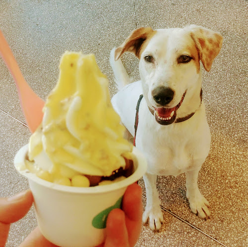 לג'נדה - תל אביב-יפו