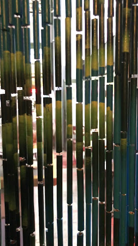 Opinii despre בתה וגריגה Bata Vegrega în תל אביב-יפו - הסעדה