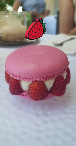 רביבה וסיליה רמת השרון