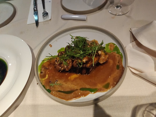 Comentarii opinii despre Darya - דריה