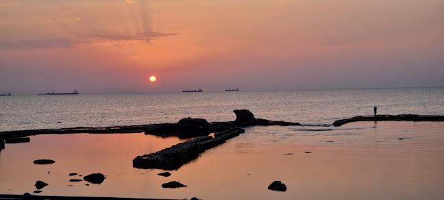 מסעדת דארנא עכו - עכו