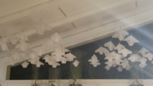 Comentarii opinii despre רביבה וסיליה רמת השרון