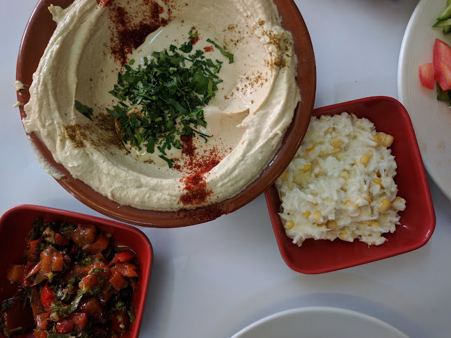 Opinii despre שיפודי זיקה în תל אביב-יפו - הסעדה