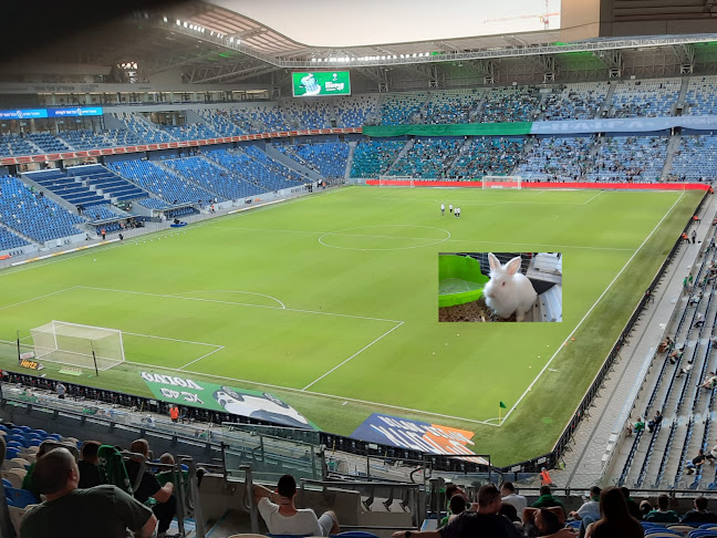 שנזי - הסעדה