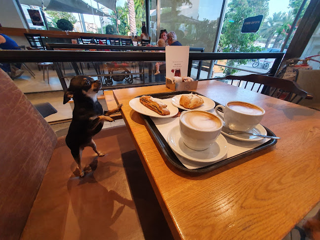 ארומה אספרסו בר