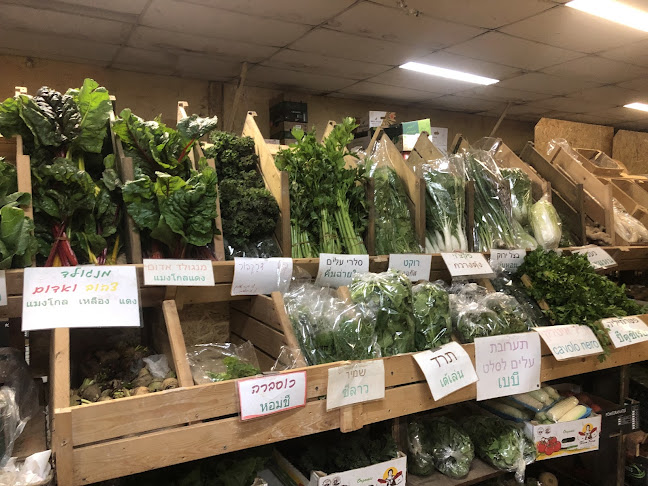 גן השדה כפר רות