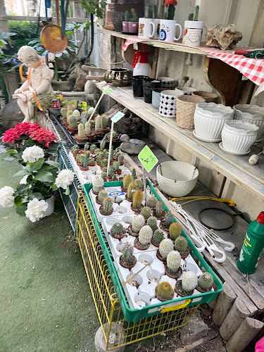 Comentarii opinii despre עולם החי והצומח