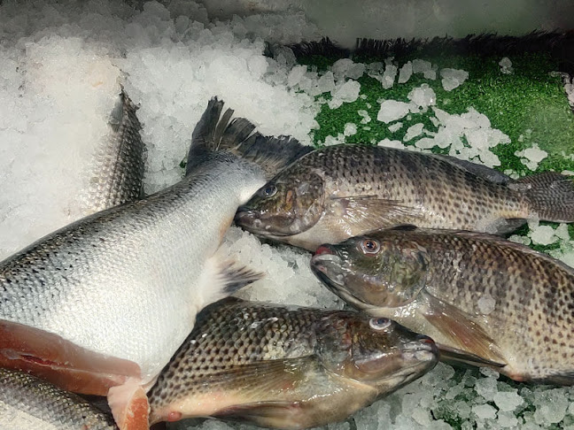 מנחם יקואל, בת ים