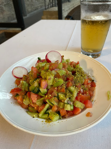 דולפין ים - Sea dolphin