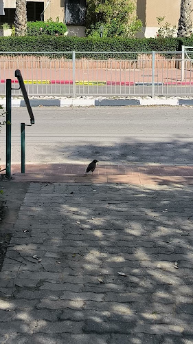 לב העיר - באר שבע