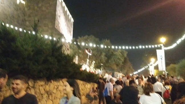 Comentarii opinii despre האקליפטוס