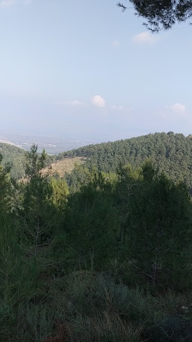 הבית בקצה הנוף