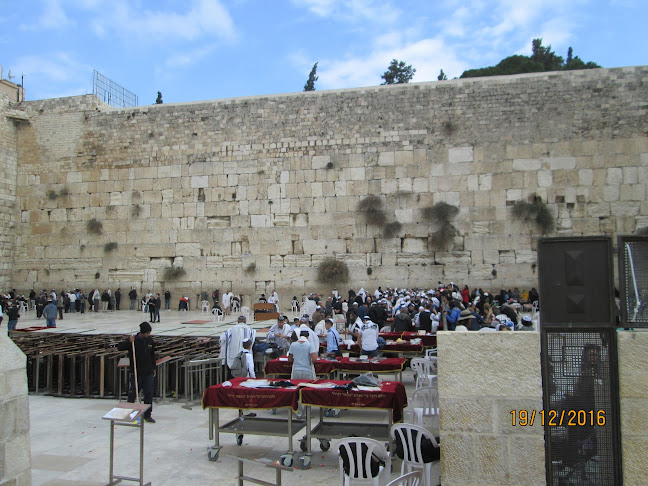 Opinii despre פיצה הנקודה האמצעית în ירושלים - הסעדה