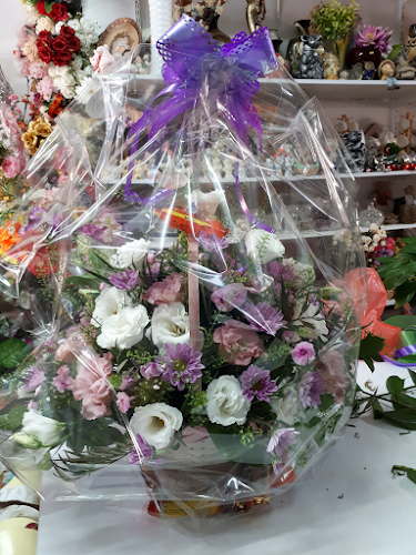 Comentarii opinii despre אורכידאה ירוחם