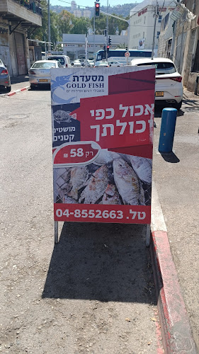 גולדפיש - הסעדה