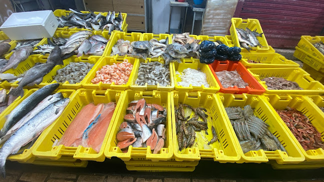 Opinii despre שוק עכו în עכו - הסעדה
