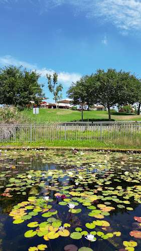 Opinii despre עגלת קפה VANY פארק קונביץ în רמת גן - הסעדה